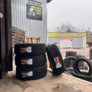Pace Antarctica Sport. ������, ����������, 2024 ���, ����� ����