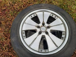 Toledo TL3000. ������, 2019 ���, �/�, ����� 50 % ����
