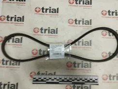 ������ �������� Isuzu FVR34 [1876101880] 1876101880 ����