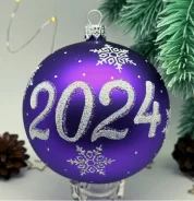 ��� "2024 ���" �309_2024 ����