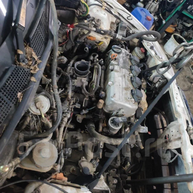 Honda Civic Ferio. ES3, D17A ����