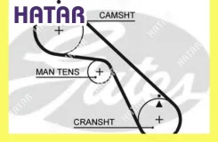 ������ ��� Gates 5530XS 5530XS ����