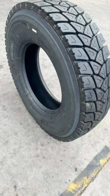 Techking TKDM VIII. �����������, ����� ����