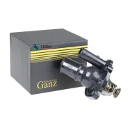 ��������� (� �����) FORD Mondeo IV/Mazda 3/6/CX-7 mot.2.0/2.3L GANZ GIF08023 GANZ GIF08023 GIF08023 ����