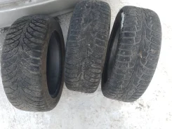 Continental. ������, ��� ����, �/�, ����� 40 % ����