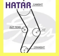 ������ ��� Gates 5662XS 5662XS ����