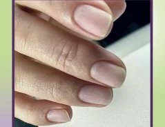 ������� ����
