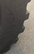Forever. �����������, 2024 ���, �����. ��� ����� �� ������������ ����