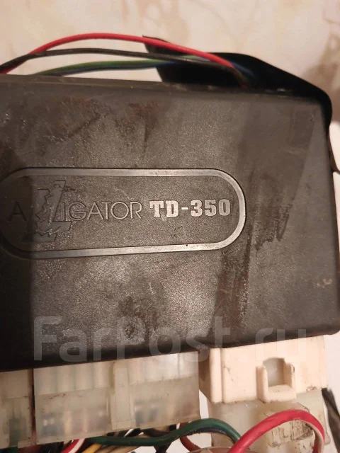Alligator. ����