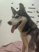 �����. ����