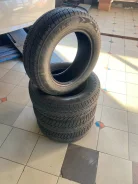 Triangle WinterX TW401. ������, ��� �����, 2024 ���, �/�, ����� 35�% ����