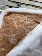 ���� ������. ����