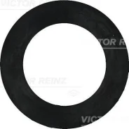 ��������� ������������� ��������� Victor Reinz 407740800 407740800 ����