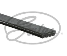 ������ ������������ XF Gates 4PK905 4PK905 ����