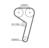 �������� ����� ��� + ����� ������� Gates KP25669XS KP25669XS ����
