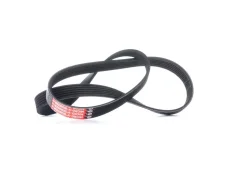 ������ ������������ Gates 6PK1019SF 6PK1019SF ����