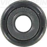 �������� ������������ Victor Reinz 705402400 705402400 ����