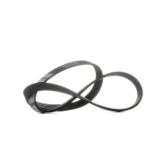 ������ ������������ Dayco 5PK975 5PK975 ����