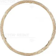 �����. ��������� ����� Victor Reinz 711139900 711139900 ����