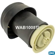 ������������ WAB1008TI ����