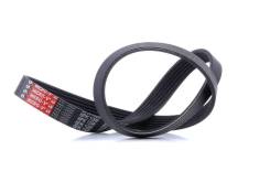 ������ ������������ XF Gates 6PK1098 6PK1098 ����
