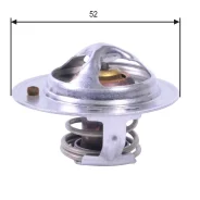 ��������� Gates TH24485G1 TH24485G1 ����
