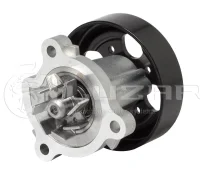 ����� ������� ��� �/� Nissan X-Trail T30 (01-)/Renault Koleos (08-) 2.0i/2.5i Luzar LWP1425 LWP1425 ����