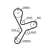 ������ ��� Gates 5641XS 5641XS ����