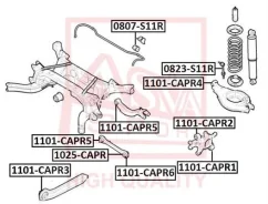 ����������� ����� ������ | ��� ����/��� | ASVA 1101CAPR1 1101CAPR1 ����