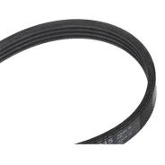 ������ ������������ Contitech 4PK815 4PK815 ����