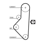 ������ �������� 5050XS 113 x 17 (8597-15050) Gates 5050XS 5050XS ����