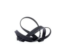 ������ ������������ Dayco Dayco 5PK1355 5PK1355 ����
