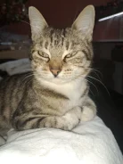 �����. ����