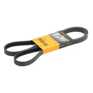 ������ ������������ Contitech 5PK1546 5PK1546 ����