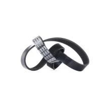 ������ ������������ Dayco 6PK1053 6PK1053 ����