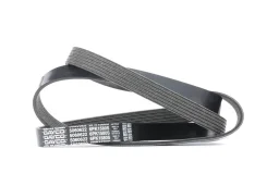 ������ ������������ Dayco 6PK1580S 6PK1580S ����