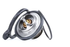 ��������� Gates TH11680G1 TH11680G1 ����