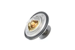��������� TH13287G1 (7412-10217) Gates TH13287G1 TH13287G1 ����