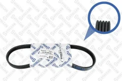 ������ ������������ 5PK700 Ford Focus II Stellox 0500700SX 0500700SX ����