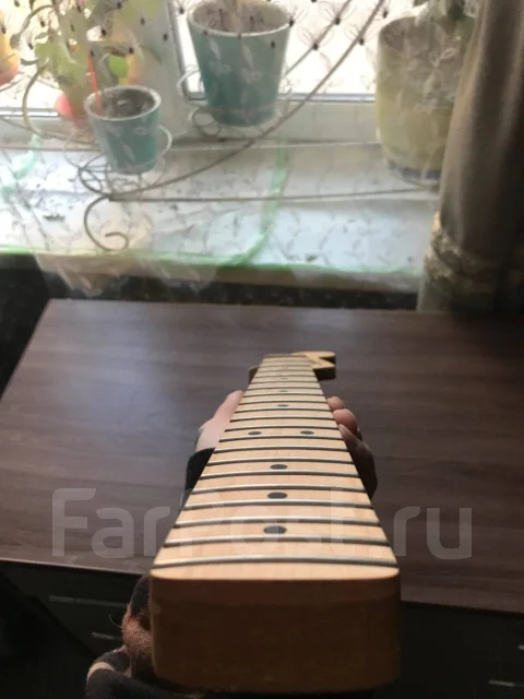 �����. ����