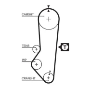 ������ ���! 097x216H Ford Escort/Orion/Fiesta 1.6 CVH 92-00 Gates 5357XS 5357XS ����