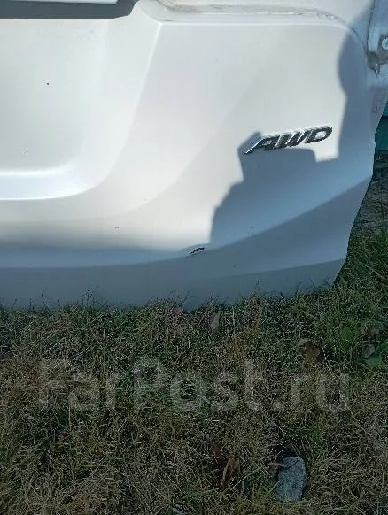 ����� ��������� ����