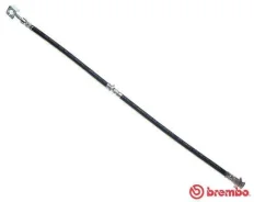 ����� ���������, �������� �����/������ Brembo T56037 T56037 ����