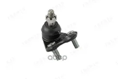 ����� ������� �������� �������� Iberis ���. IB117009 IB117009 ����