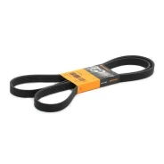 ������ ������������ Contitech Contitech 6PK1880 6PK1880 ����