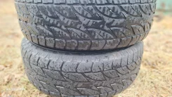 Bridgestone Dueler A/T 002. ����� at, 2005 ���, �/�, ����� 50 % ����