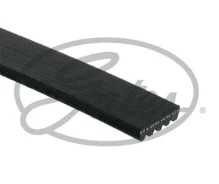 ������ ������������ XF Gates 5PK683 5PK683 ����