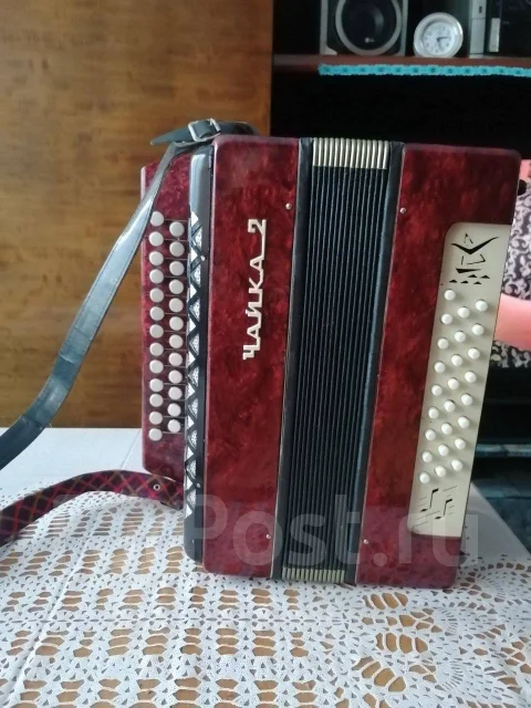 �����. ����