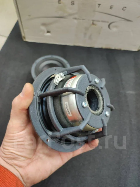 Dynaudio ����
