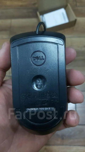 ���� ������������. ����